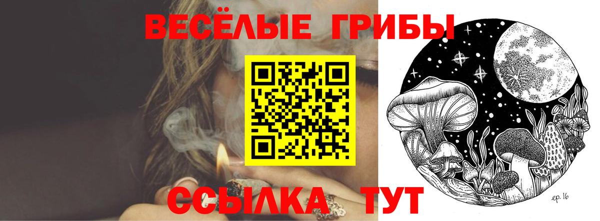 Галлюциногенные грибы мухоморы Топки