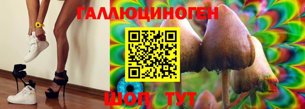 Топки  Галлюциногенные грибы прущие грибы  Вход с VPN 