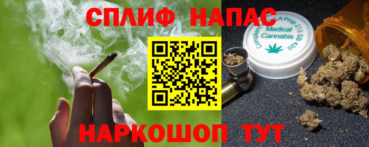Каннабис планчик  Бошки марихуана White Widow  Топки  Вход с VPN  Бошки марихуана Bruce Banner 